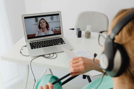 Support Models Underpinning Hybrid Care Systems